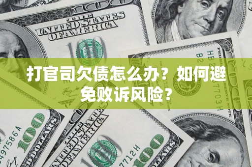 北京打官司欠债怎么办？如何避免败诉风险？