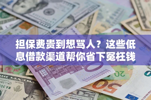 北京担保费贵到想骂人？这些低息借款渠道帮你省下冤枉钱